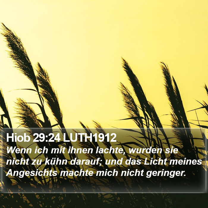 Hiob 29:24 LUTH1912 Bible Study