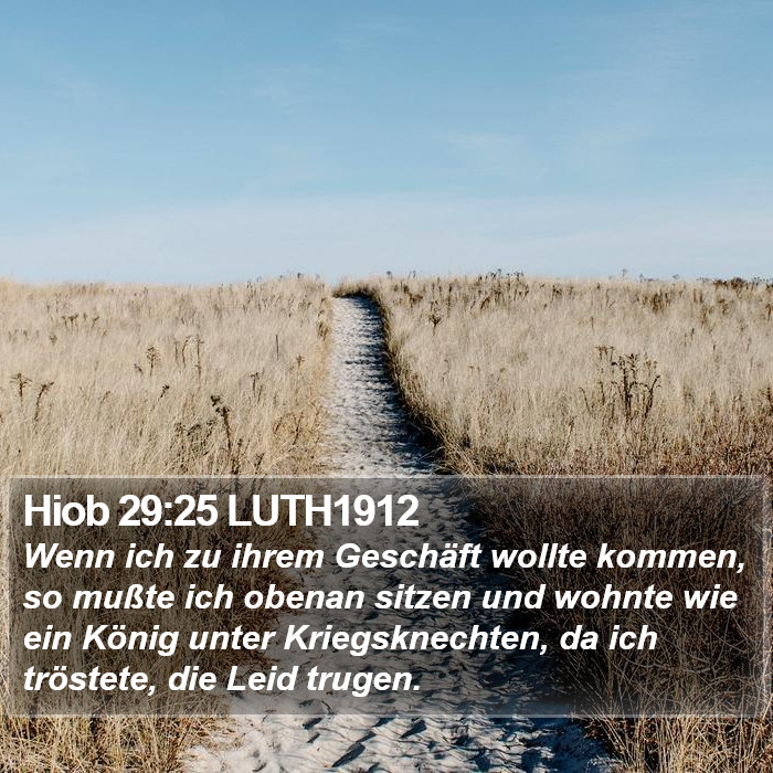 Hiob 29:25 LUTH1912 Bible Study