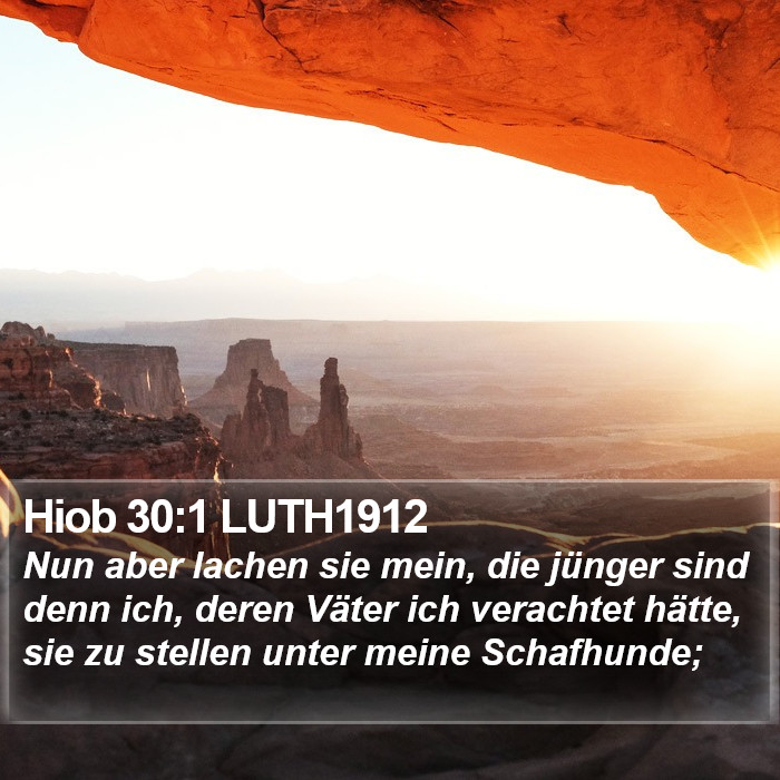 Hiob 30:1 LUTH1912 Bible Study