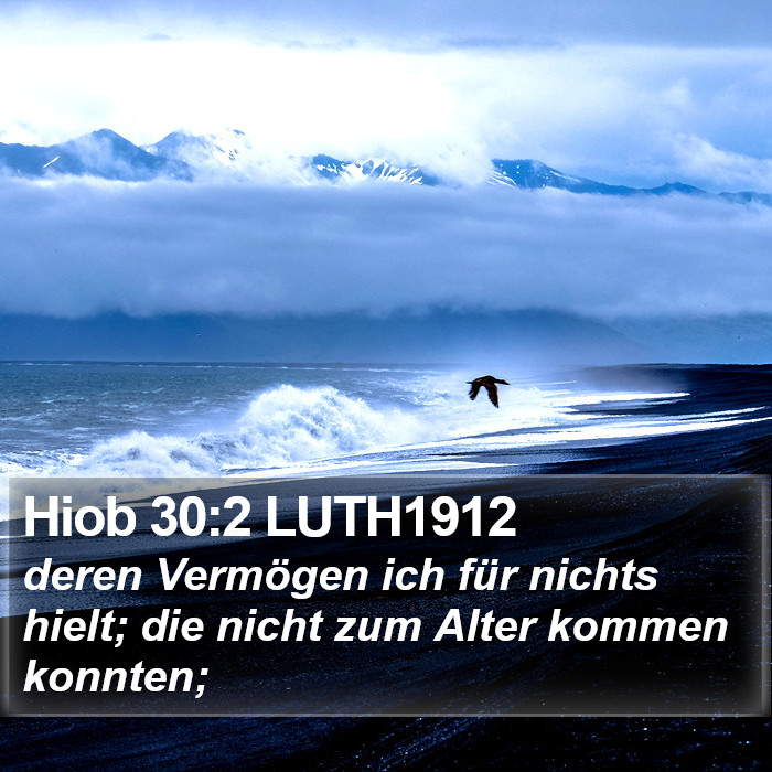 Hiob 30:2 LUTH1912 Bible Study