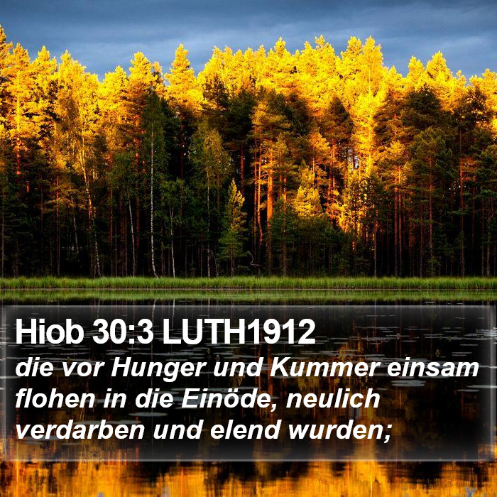 Hiob 30:3 LUTH1912 Bible Study