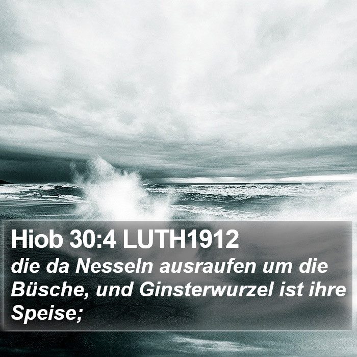 Hiob 30:4 LUTH1912 Bible Study