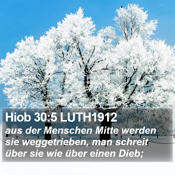 Hiob 30:5 LUTH1912 Bible Study