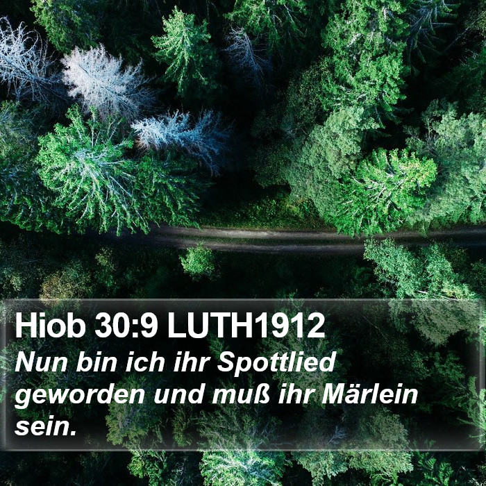 Hiob 30:9 LUTH1912 Bible Study