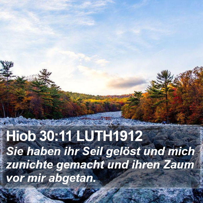 Hiob 30:11 LUTH1912 Bible Study