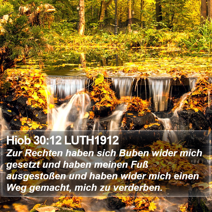 Hiob 30:12 LUTH1912 Bible Study