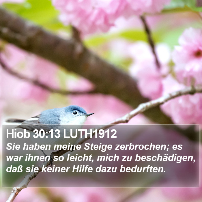 Hiob 30:13 LUTH1912 Bible Study