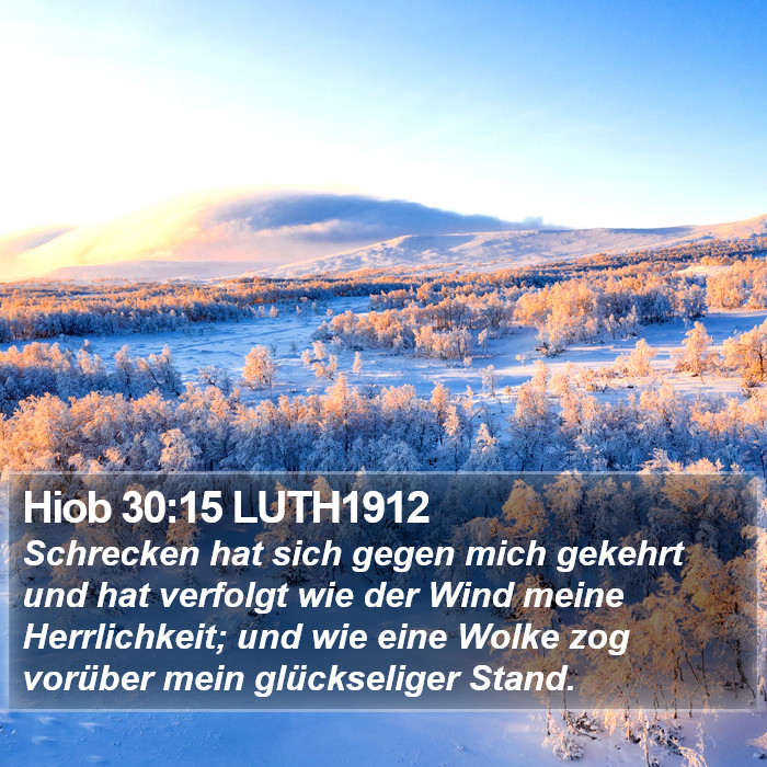 Hiob 30:15 LUTH1912 Bible Study