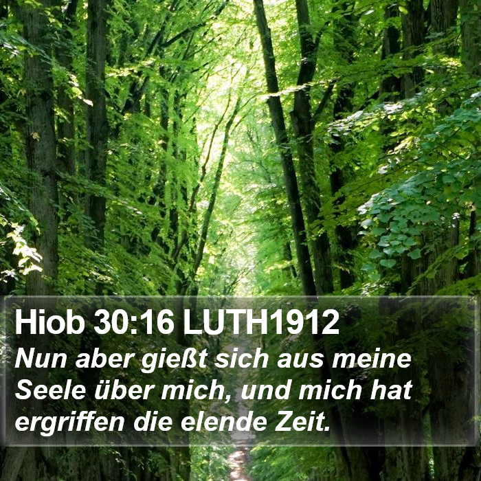 Hiob 30:16 LUTH1912 Bible Study