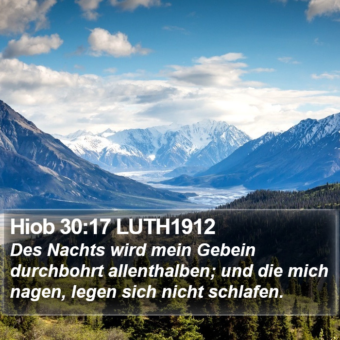 Hiob 30:17 LUTH1912 Bible Study