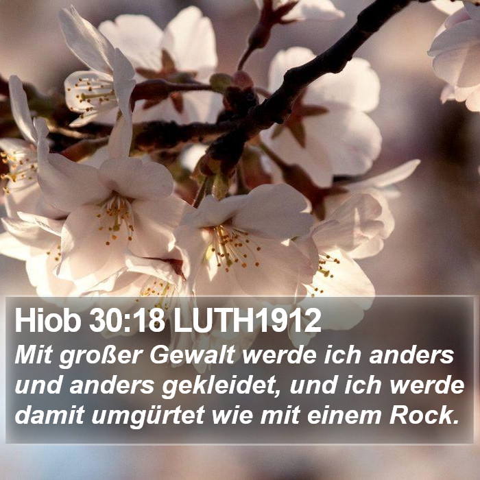 Hiob 30:18 LUTH1912 Bible Study