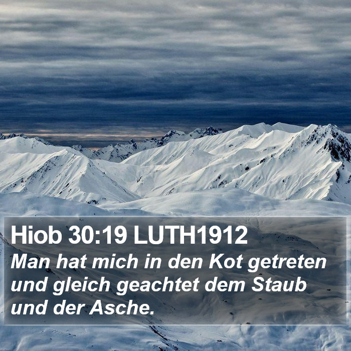 Hiob 30:19 LUTH1912 Bible Study