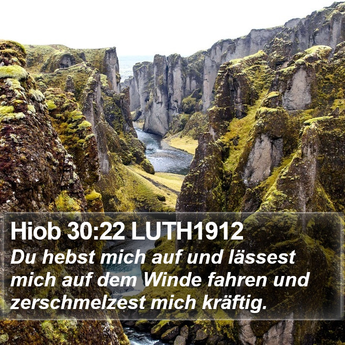 Hiob 30:22 LUTH1912 Bible Study