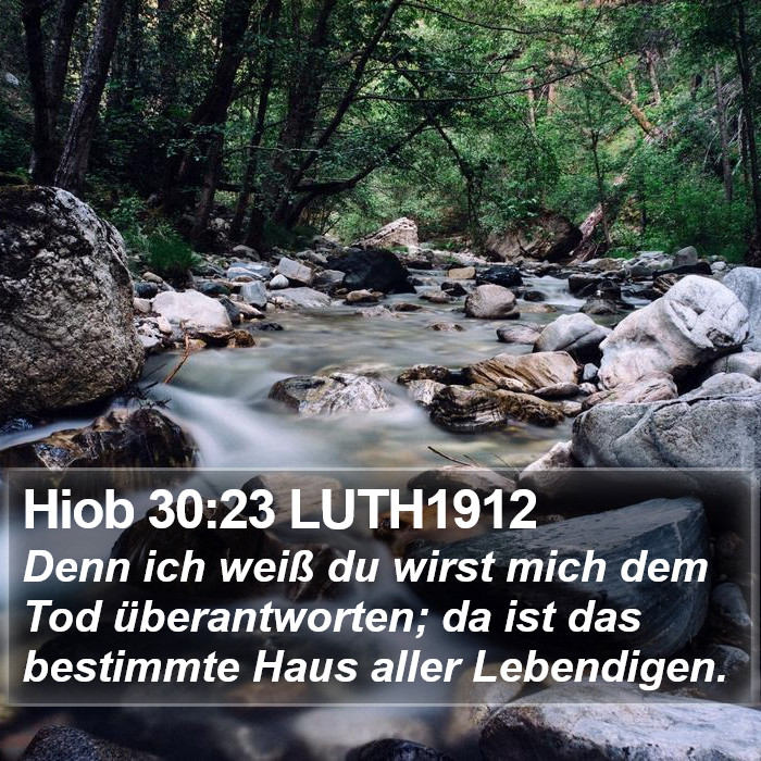 Hiob 30:23 LUTH1912 Bible Study