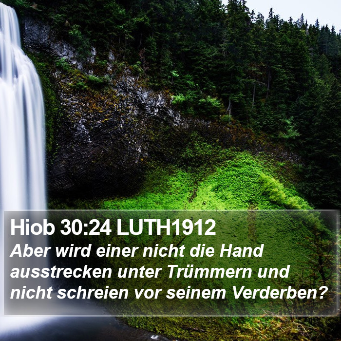 Hiob 30:24 LUTH1912 Bible Study