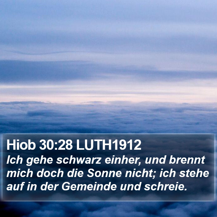 Hiob 30:28 LUTH1912 Bible Study