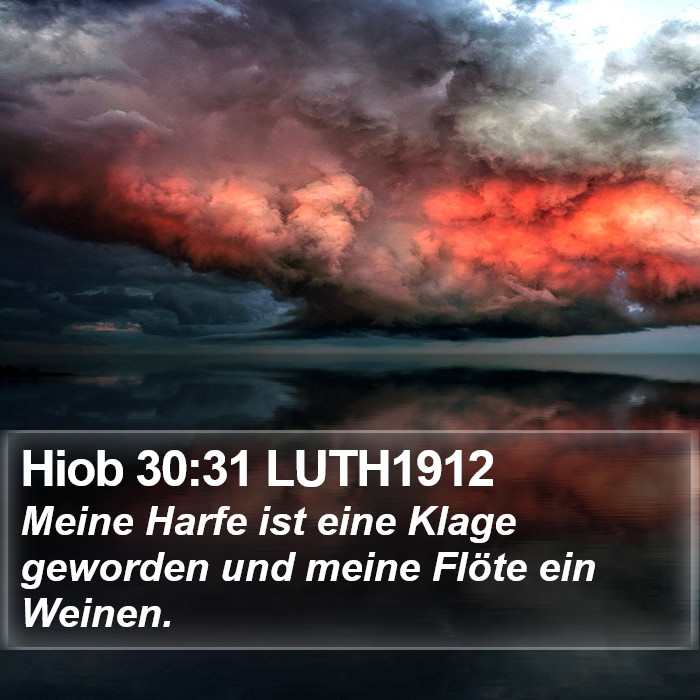 Hiob 30:31 LUTH1912 Bible Study