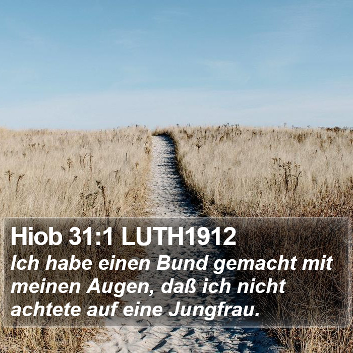 Hiob 31:1 LUTH1912 Bible Study