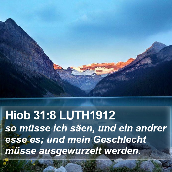 Hiob 31:8 LUTH1912 Bible Study