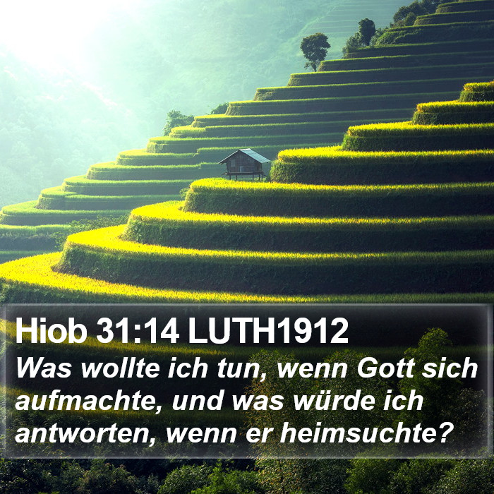 Hiob 31:14 LUTH1912 Bible Study