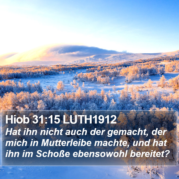 Hiob 31:15 LUTH1912 Bible Study
