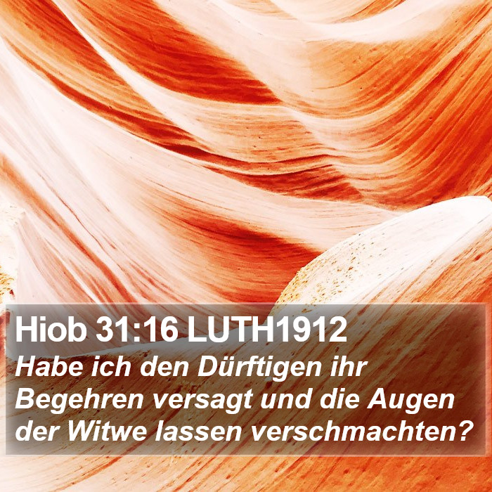 Hiob 31:16 LUTH1912 Bible Study