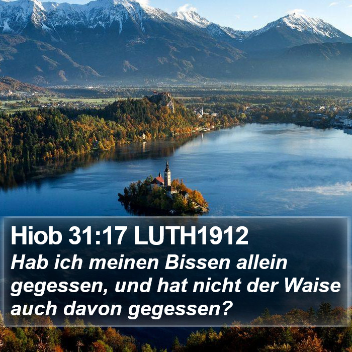 Hiob 31:17 LUTH1912 Bible Study