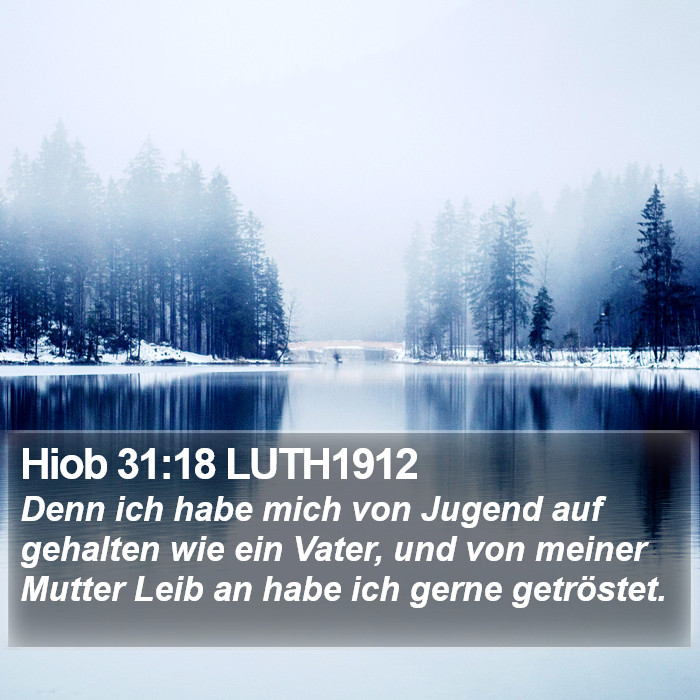 Hiob 31:18 LUTH1912 Bible Study