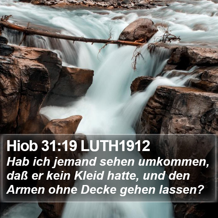 Hiob 31:19 LUTH1912 Bible Study