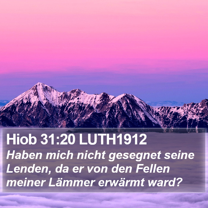 Hiob 31:20 LUTH1912 Bible Study