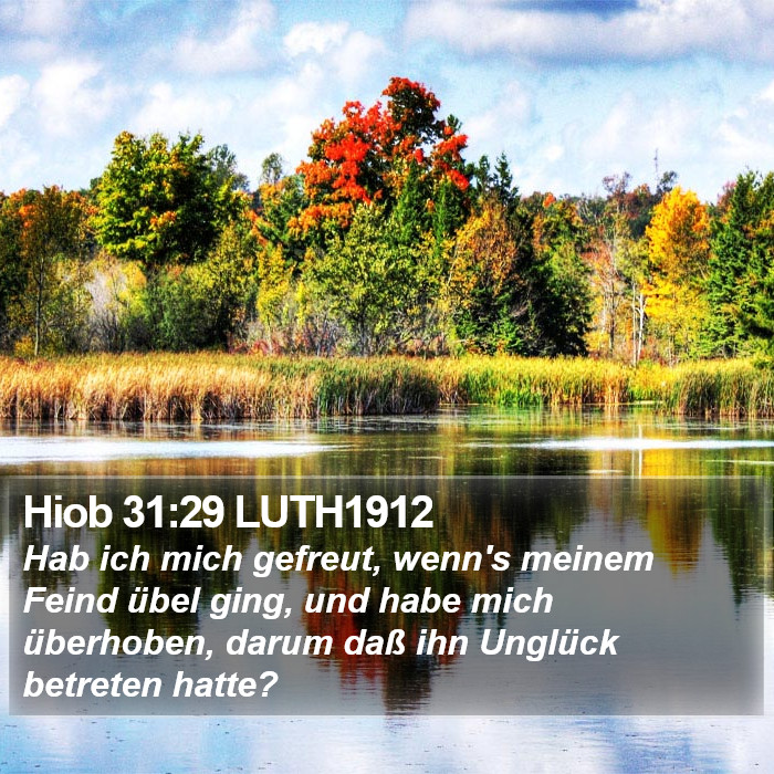 Hiob 31:29 LUTH1912 Bible Study