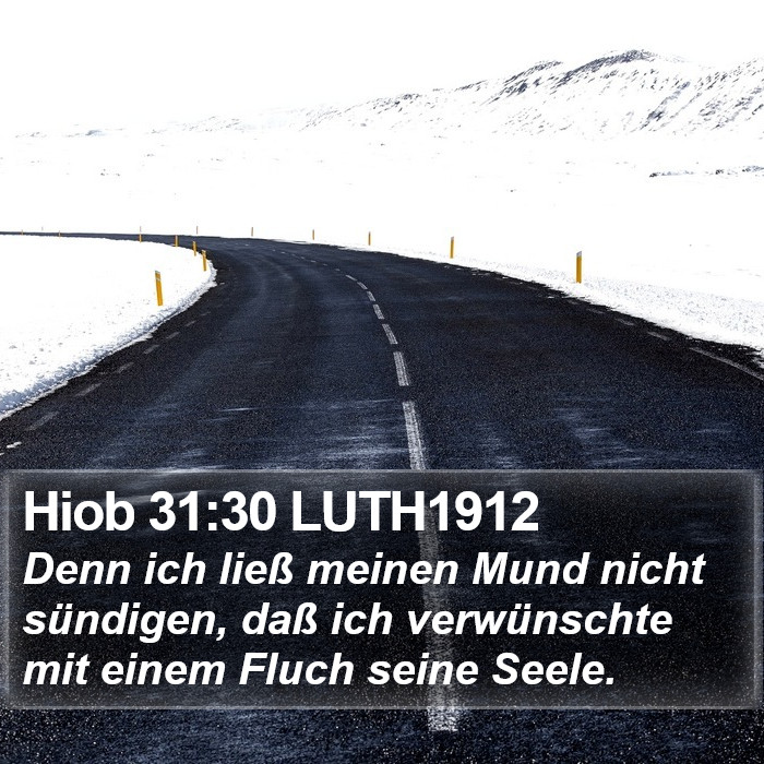 Hiob 31:30 LUTH1912 Bible Study