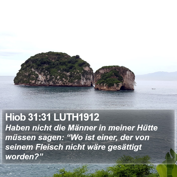 Hiob 31:31 LUTH1912 Bible Study
