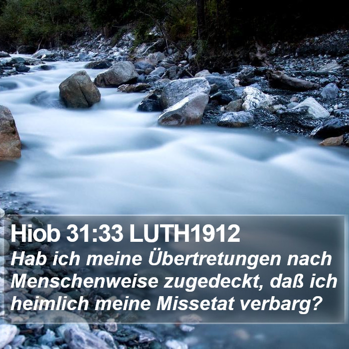 Hiob 31:33 LUTH1912 Bible Study