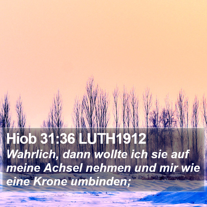 Hiob 31:36 LUTH1912 Bible Study