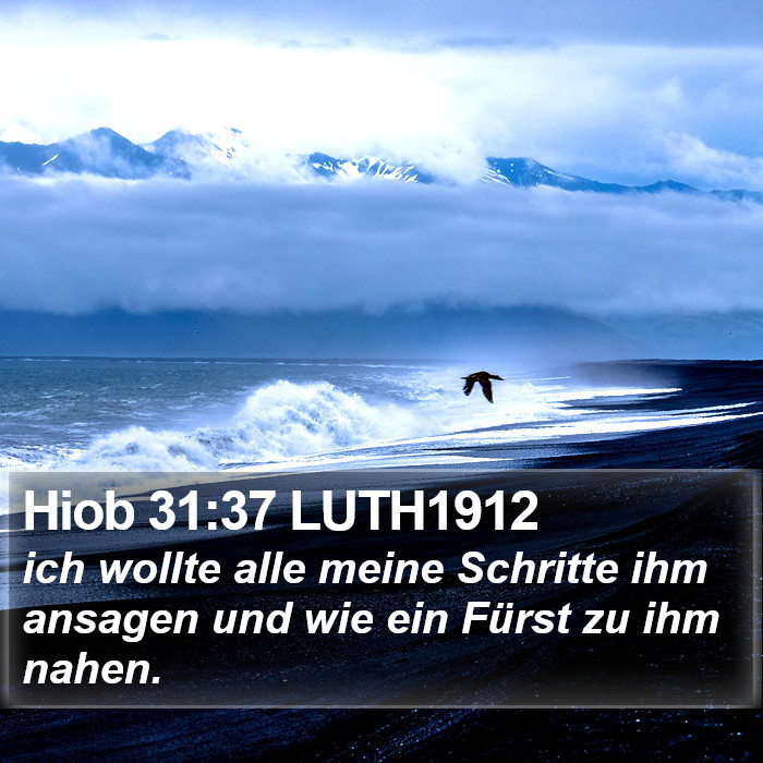 Hiob 31:37 LUTH1912 Bible Study