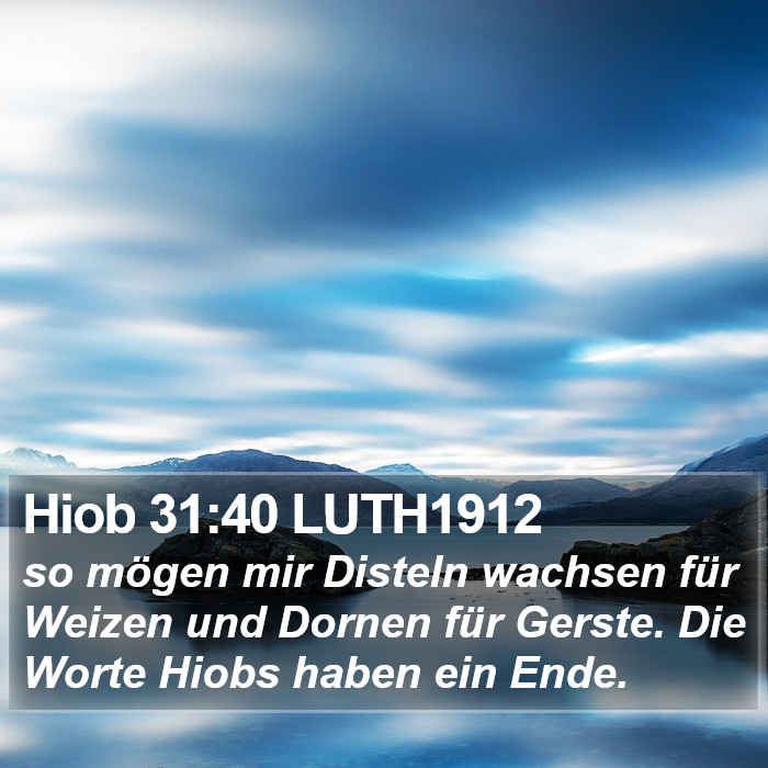Hiob 31:40 LUTH1912 Bible Study
