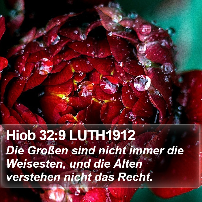 Hiob 32:9 LUTH1912 Bible Study