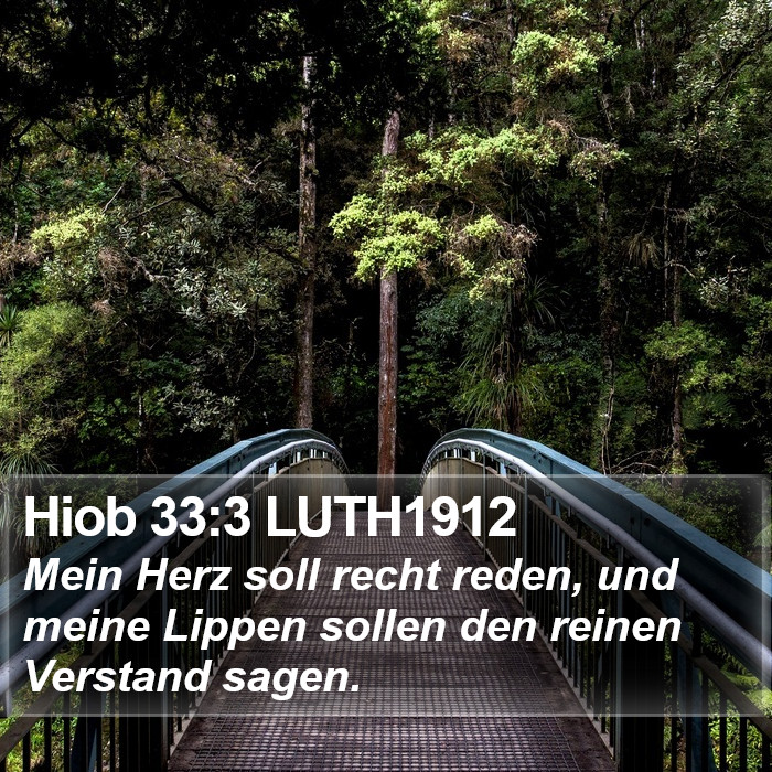 Hiob 33:3 LUTH1912 Bible Study