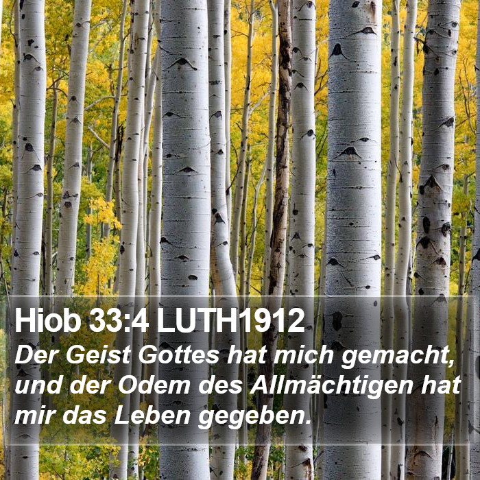 Hiob 33:4 LUTH1912 Bible Study