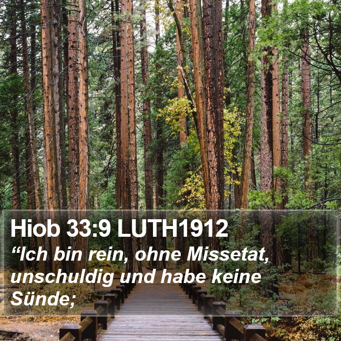 Hiob 33:9 LUTH1912 Bible Study