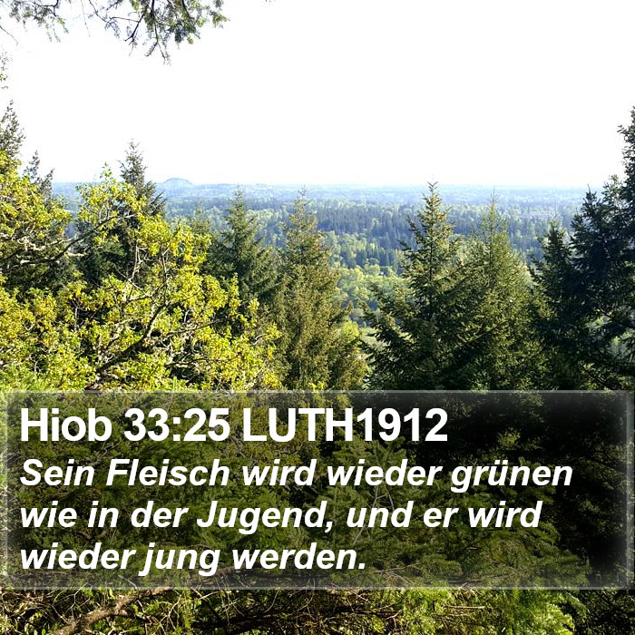 Hiob 33:25 LUTH1912 Bible Study