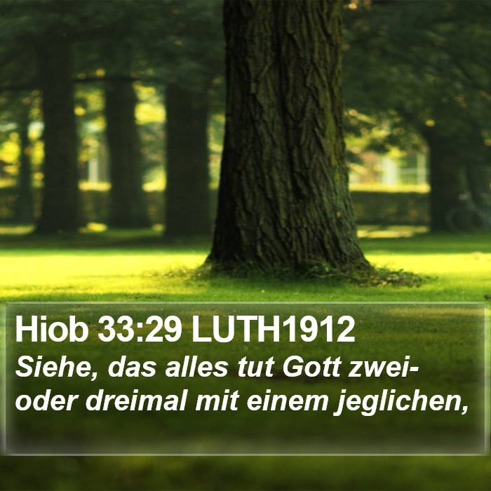Hiob 33:29 LUTH1912 Bible Study