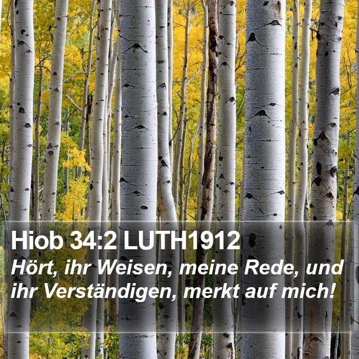 Hiob 34:2 LUTH1912 Bible Study