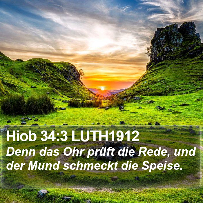 Hiob 34:3 LUTH1912 Bible Study