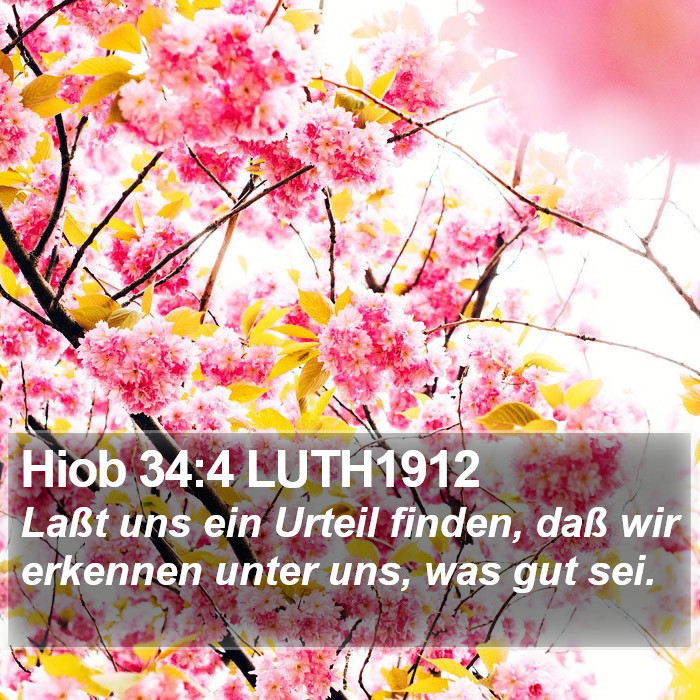 Hiob 34:4 LUTH1912 Bible Study