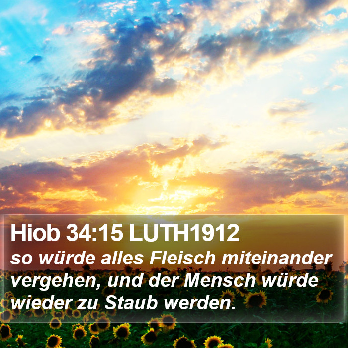 Hiob 34:15 LUTH1912 Bible Study
