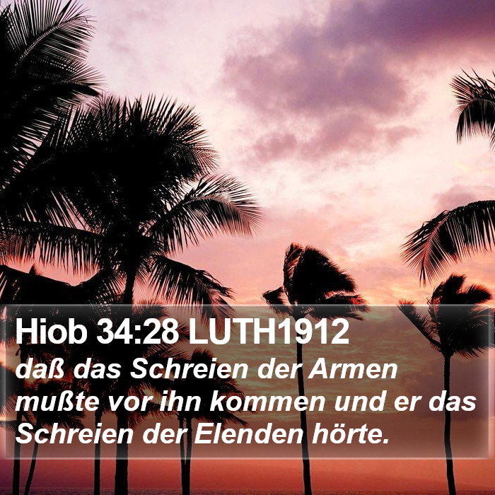 Hiob 34:28 LUTH1912 Bible Study