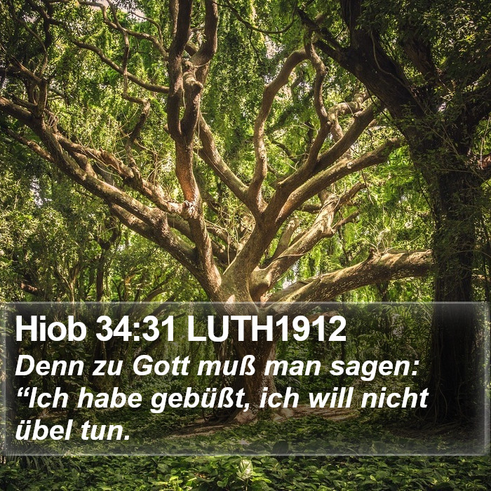 Hiob 34:31 LUTH1912 Bible Study