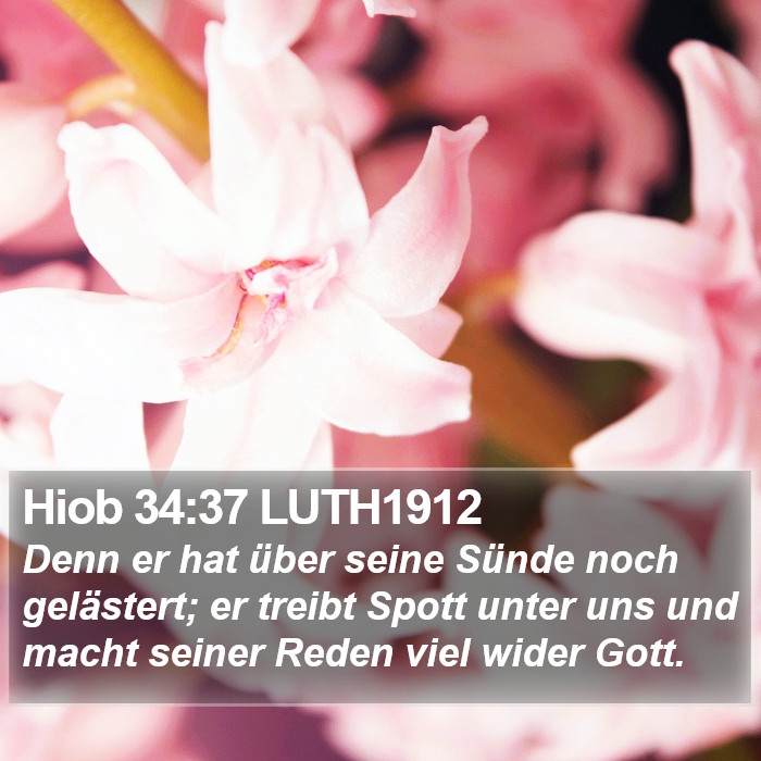 Hiob 34:37 LUTH1912 Bible Study